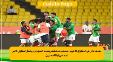 بهدف قاتل في الدقائق الأخيرة.. منتخب مدغشقر يصدم السودان ويتأهل لنهائي كأس أمم إفريقيا للمحليين 1